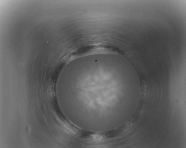 X0000077360272200610271902