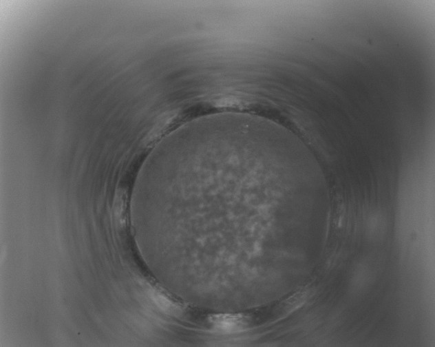 X0000077360273200610271902