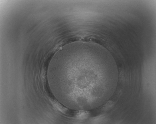 X0000077360274200610271902