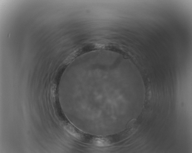 X0000077360275200610271902