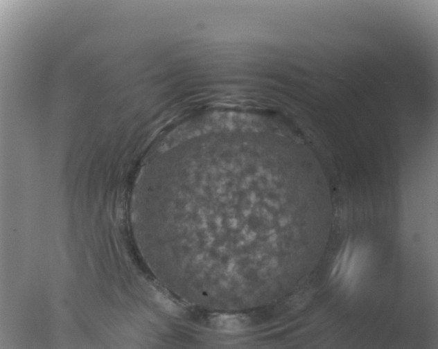 X0000077360277200610271902