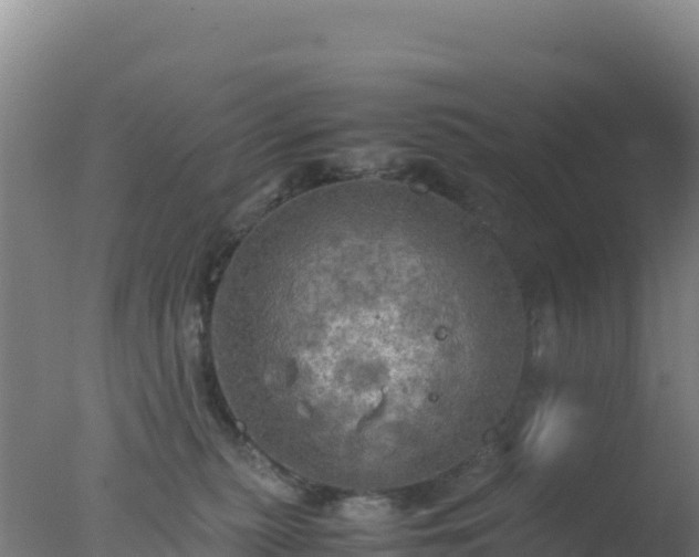 X0000077360279200610271902