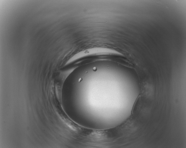 X0000077360280200610271902