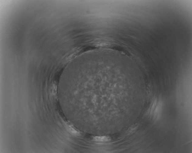 X0000077360281200610271902