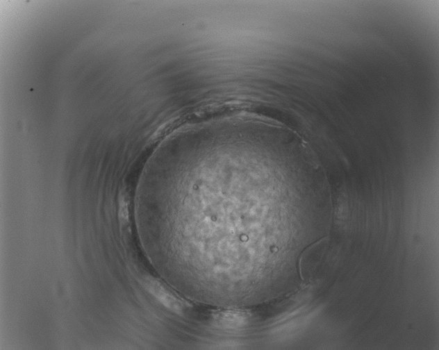 X0000077360282200610271902