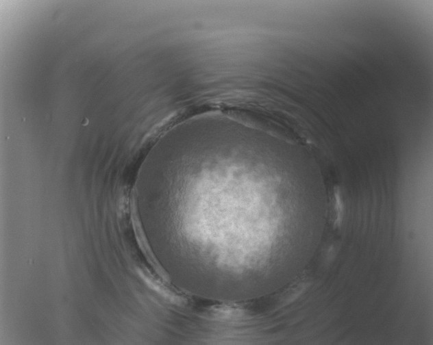 X0000077360284200610271902