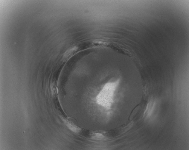 X0000077360285200610271902