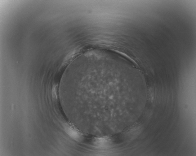 X0000077360286200610271902