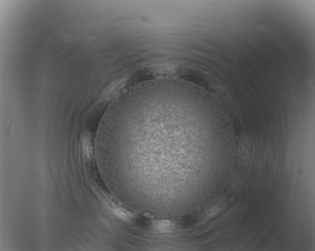 X0000077360287200610271902