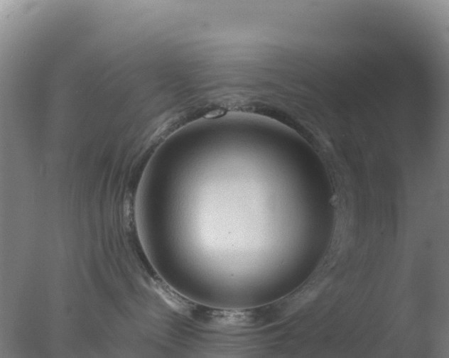 X0000077360288200610271902