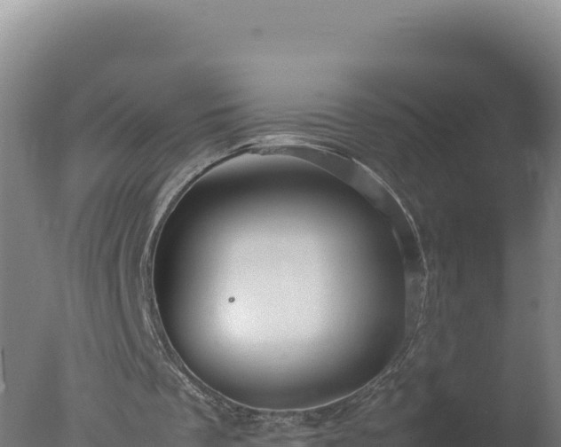 X0000077360289200610271901