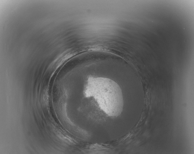 X0000077360290200610271901