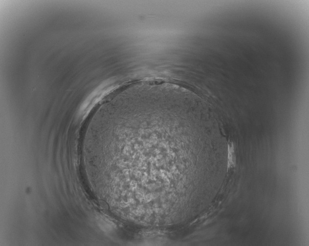 X0000077360291200610271901