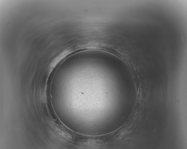 X0000077360292200610271901