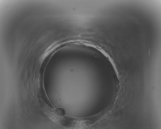 X0000077360295200610271901