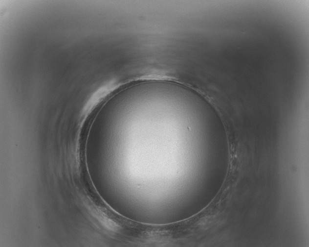 X0000077360296200610271901