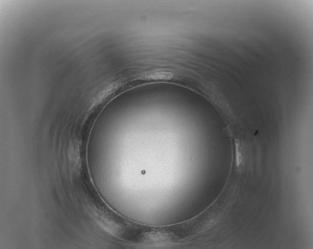 X0000077360300200610271901