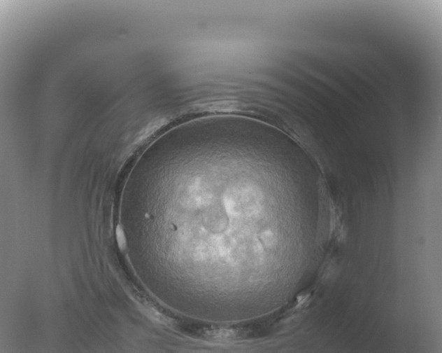 X0000077360301200610271901