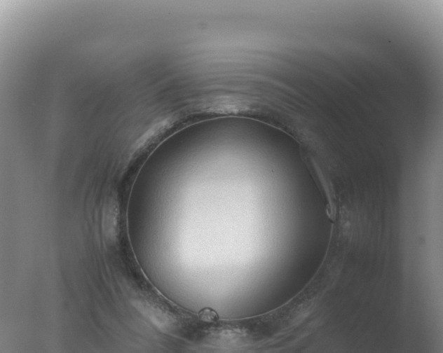 X0000077360304200610271901