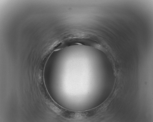 X0000077360305200610271901