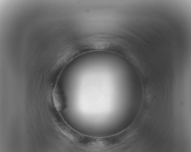 X0000077360307200610271901