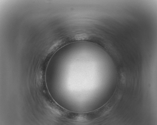 X0000077360308200610271901