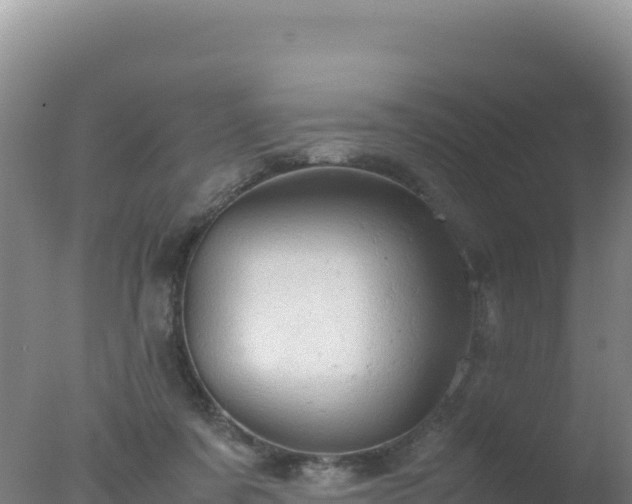 X0000077360311200610271901