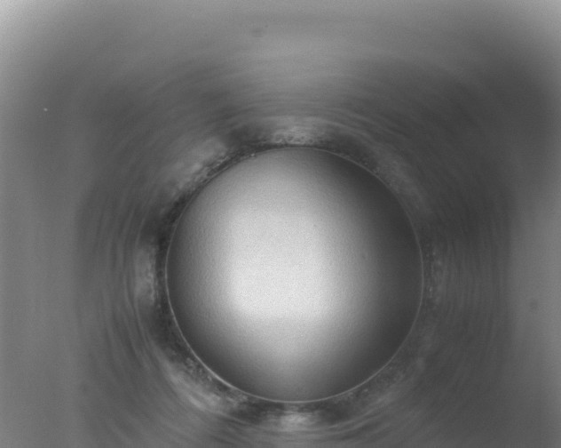 X0000077360312200610271901