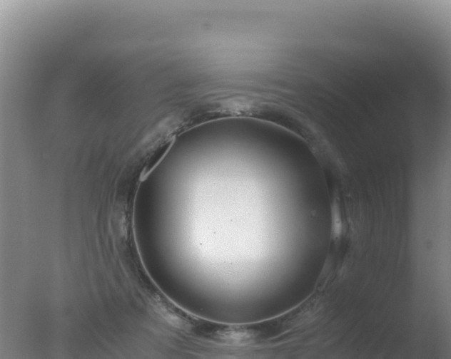 X0000077360313200610271901