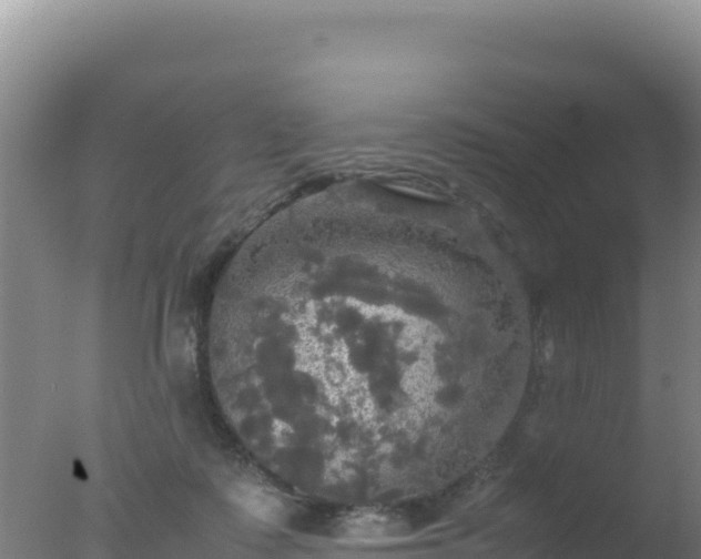 X0000077360315200610271901