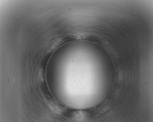 X0000077360316200610271901