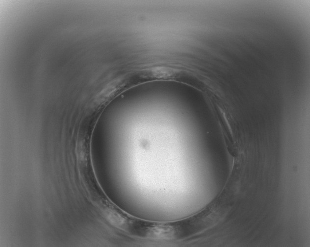 X0000077360317200610271901