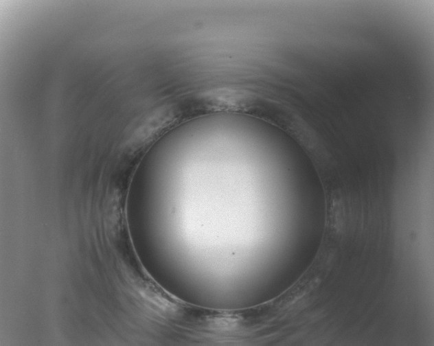 X0000077360318200610271901