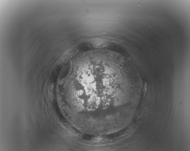 X0000077360319200610271901