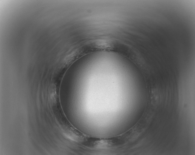 X0000077360320200610271901