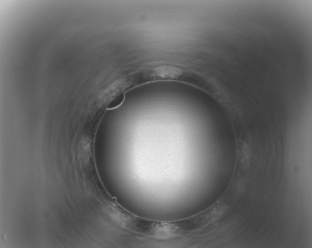 X0000077360321200610271901