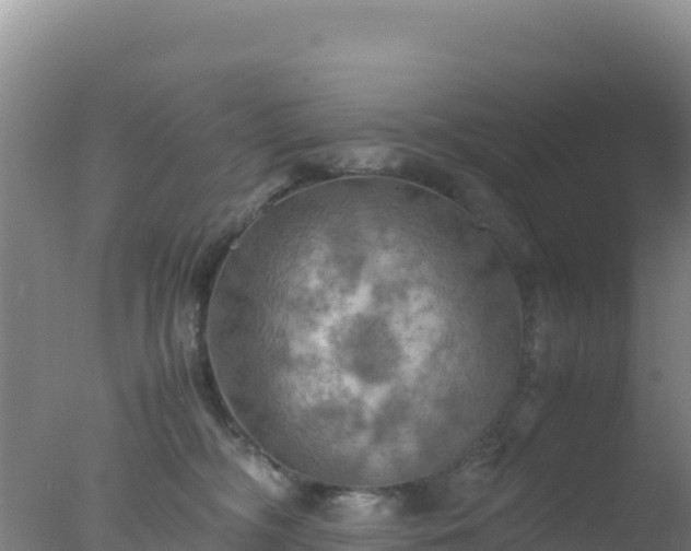 X0000077360326200610271901