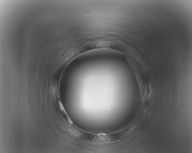 X0000077360329200610271900