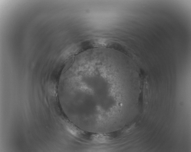 X0000077360331200610271900