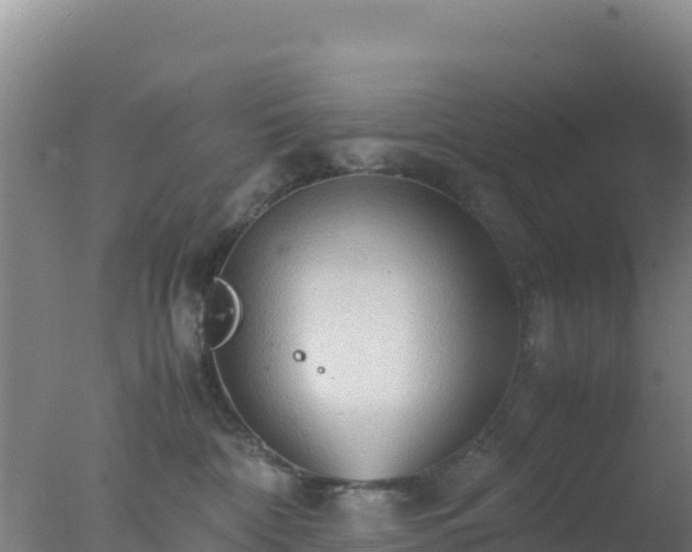 X0000077360332200610271900