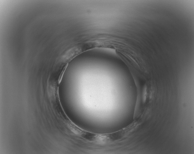 X0000077360333200610271900