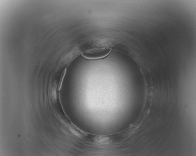 X0000077360334200610271900