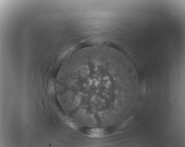 X0000077360335200610271900