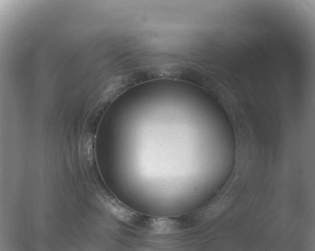 X0000077360336200610271900