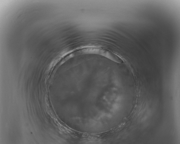 X0000077360337200610271900