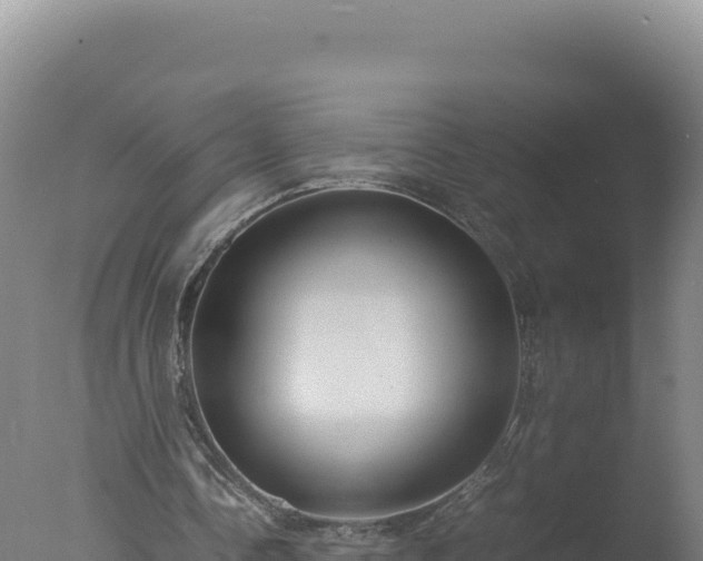 X0000077360338200610271900