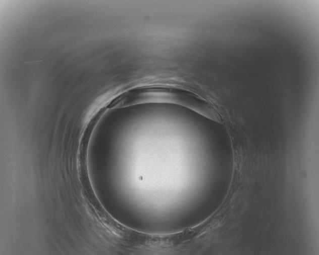 X0000077360340200610271900