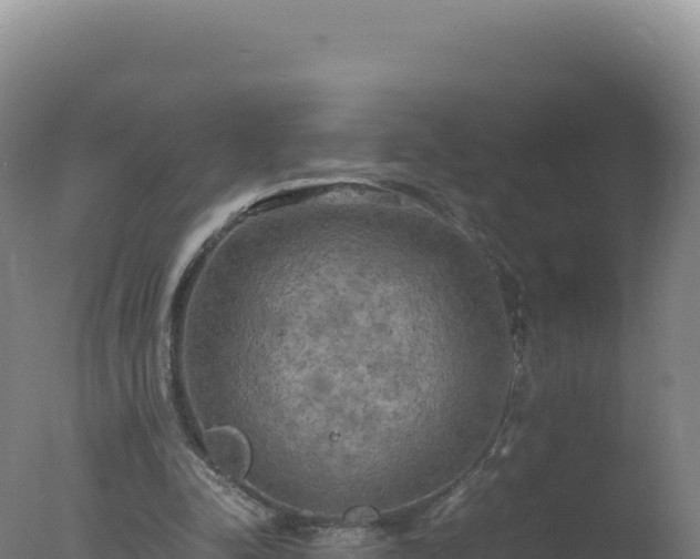 X0000077360342200610271900