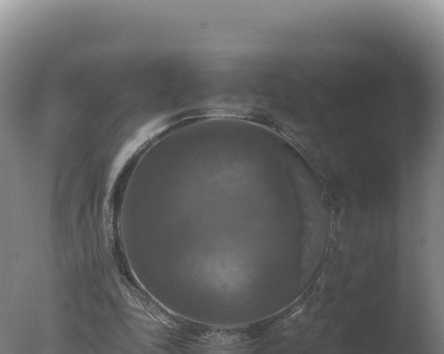 X0000077360343200610271900