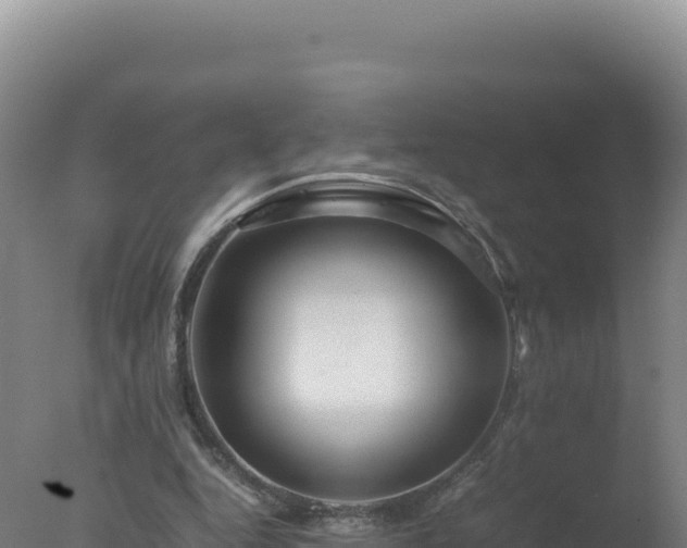 X0000077360344200610271900